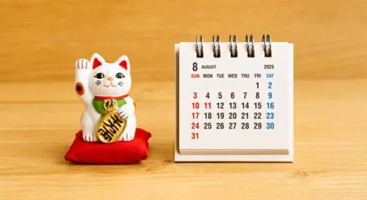 a simple plan to ;earn japanese language